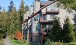 Blackcomb Greens Photographs