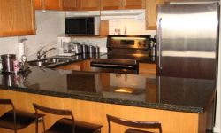 Whistler Ski In Ski Out  Accommodation Photographs